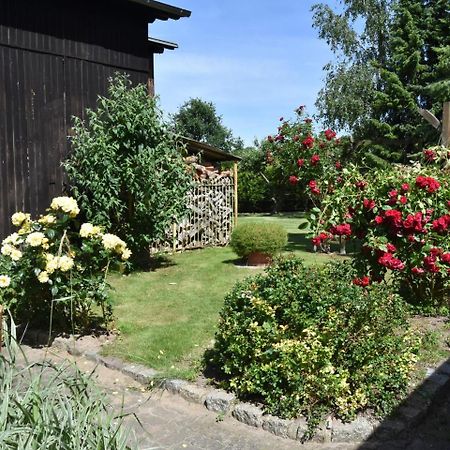 Comfortable Apartment In A Quiet Location Zweedorf 外观 照片